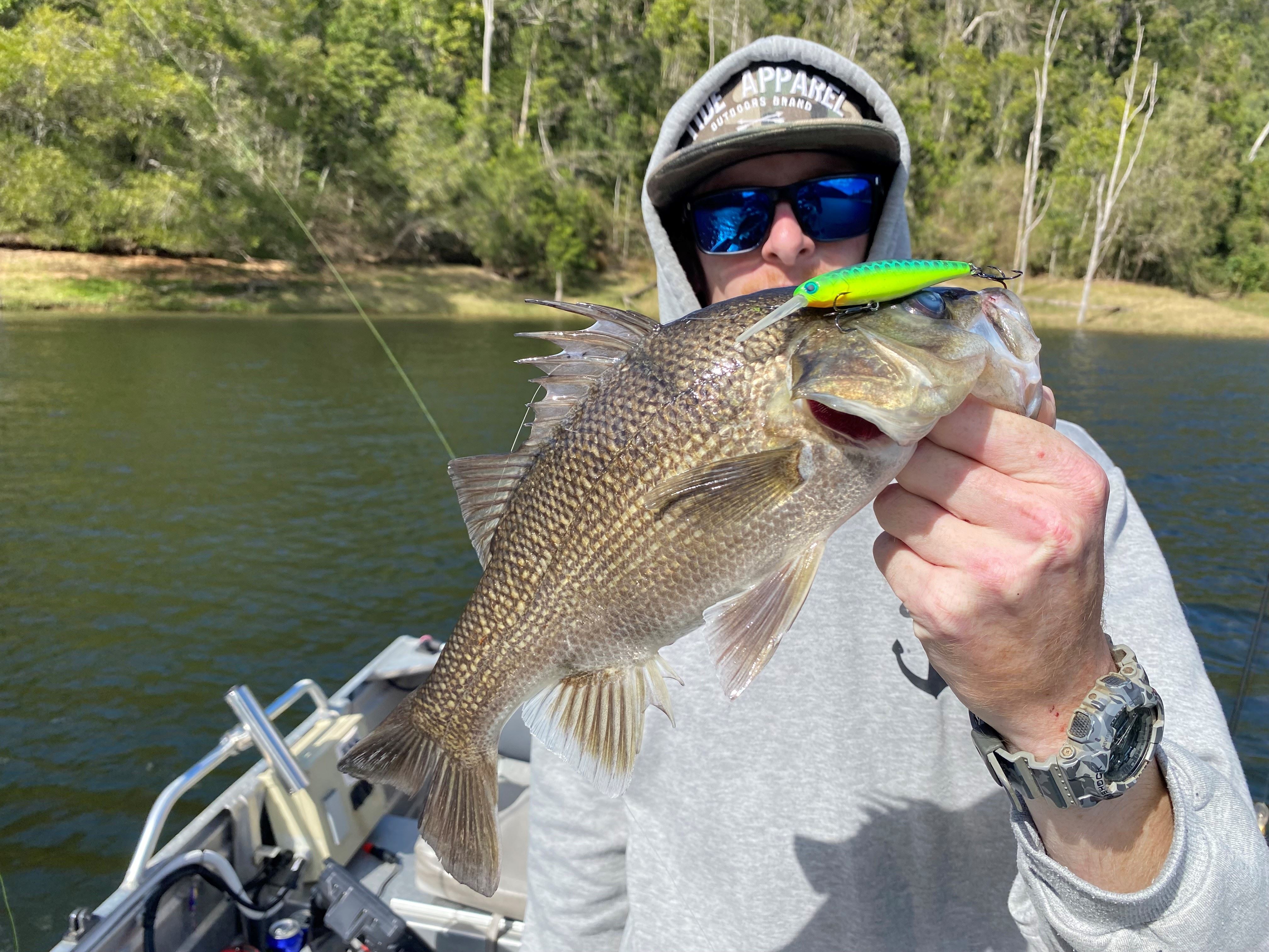 Whether trolling or casting, you can't go wrong with a hardbody